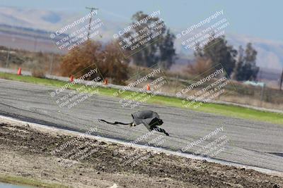 media/Jan-07-2024-SoCal Drivers Club (Sun) [[fbfecfa591]]/Red Group/Sunset and Front Straight (1pm)/